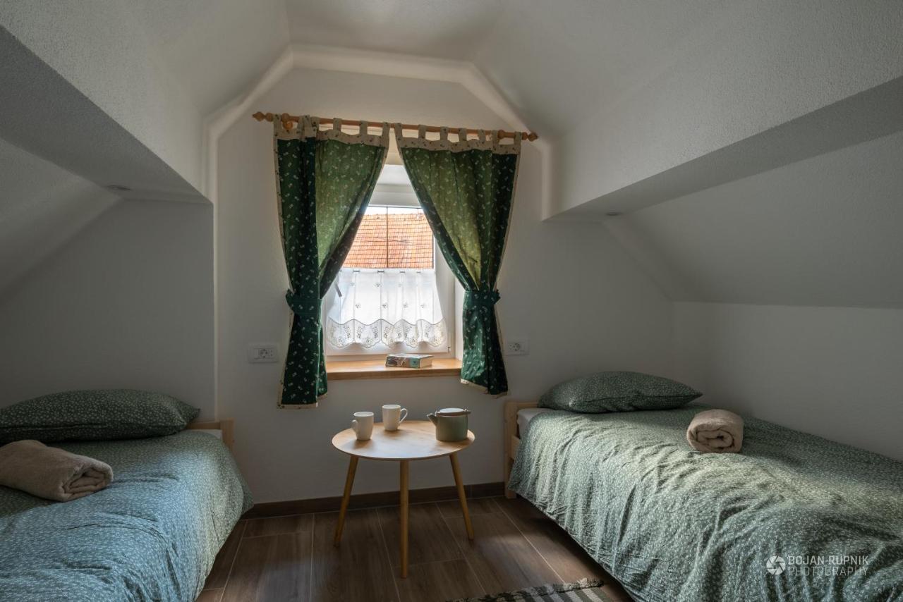 Cherry House - Cosy House - Ideal For Bear Watching, In The Neighborhood Of The Medieval Sneznik Castle Stari Trg pri Lozu Exteriör bild