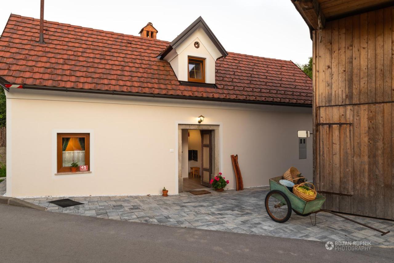 Cherry House - Cosy House - Ideal For Bear Watching, In The Neighborhood Of The Medieval Sneznik Castle Stari Trg pri Lozu Exteriör bild